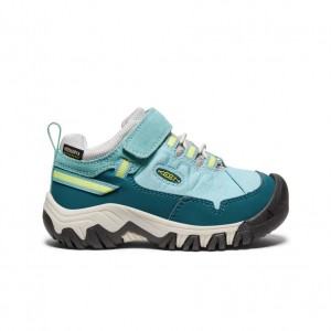 Keen Targhee IV Waterproof Wandelschoenen Kinderen Groen | EPO6364UT