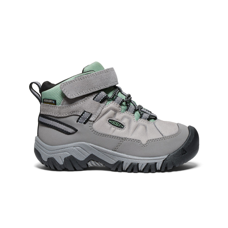 Keen Targhee IV Waterproof Wandellaarzen Kinderen Grijs Groen | FTR1794TN